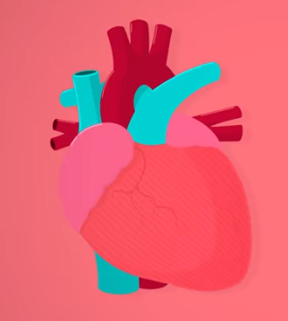 <p><span>About how many beats per day does the heart pump?</span></p>
