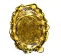 <p><span style="background-color: rgba(0, 0, 0, 0); line-height: 19.7625px;">What is the species in this photo and WHY?</span></p>