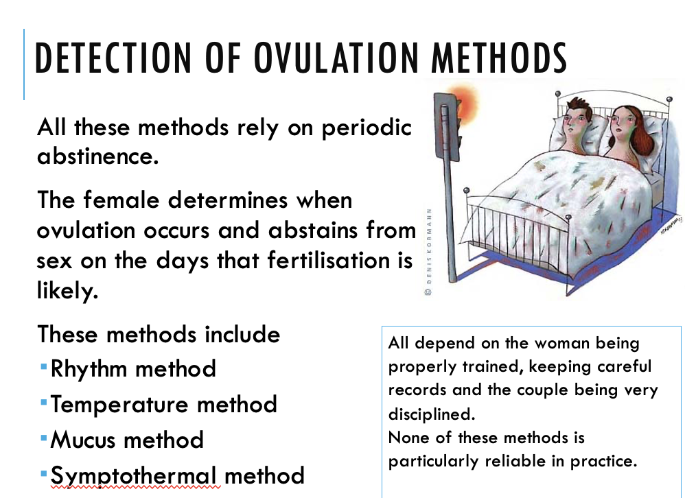 <p><span>&nbsp;</span><span style="font-family: "Tw Cen MT";">The <strong>rhythm method </strong>depends on predicting the time of ovulation based on the length of the menstrual cycle.</span></p><p><span>&nbsp;</span><span style="font-family: "Tw Cen MT";">The <strong>temperature method </strong>predicts ovulation by body temperature. Ovulation is accompanied by a drop in body temperature, followed by a rise (progesterone).</span></p><p></p><p><span>&nbsp;</span><span style="font-family: "Tw Cen MT";">The mucus method predicts ovulation by cervical mucus. <br>As ovulation approaches, <br>cervical mucus can be <br>detected as clear, slippery strands that stretch without breaking.</span></p><p><span>&nbsp;</span><span style="font-family: "Tw Cen MT";">The symptothermal method <br>is a combination of all the <br>above&nbsp; methods.</span></p>