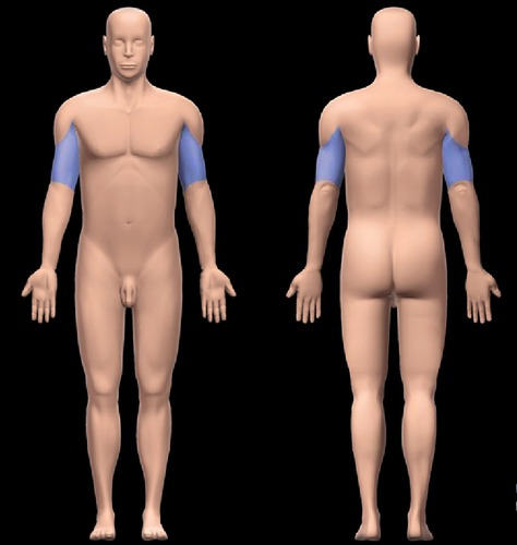 <p>arm</p>