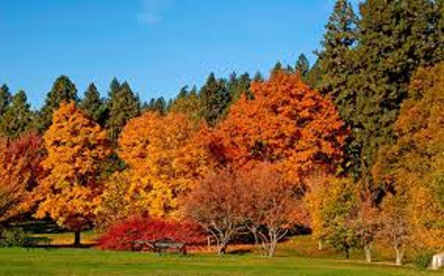 <p>Fall/Autumn</p>