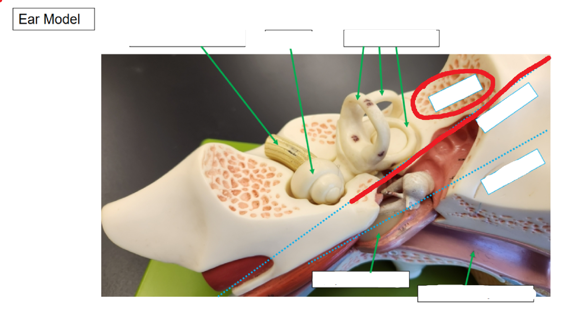 <p>What is this section called?</p>