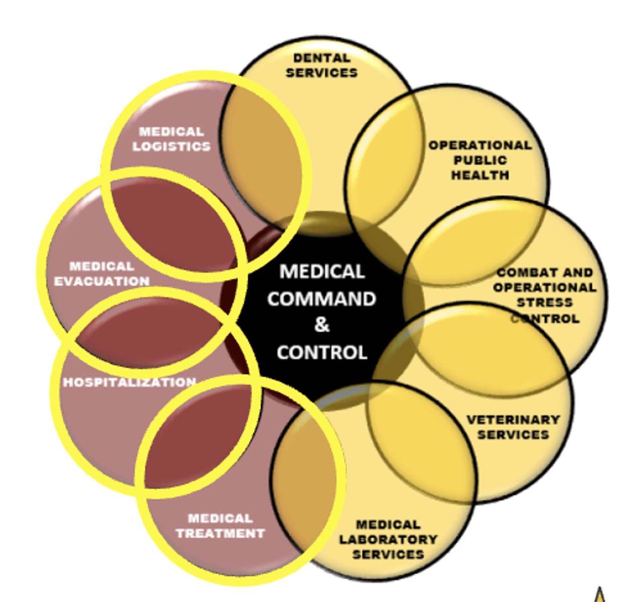 <p>1) Define Health Service Support</p><p>2) Medical Treatment</p><p>3) Medical Evaluation</p><p>4) Hospitalization</p><p>5) Medical Logistics</p>