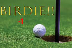 <p>Birdie</p>