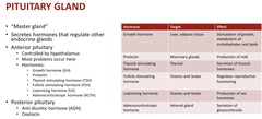 <p>adrenal gland</p><p>secretion of glucocorticoids</p>