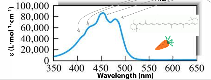 <ul><li><p>spectra shows probability matter will have lower E state to higher E state transitions upon photon absorption</p></li><li><p>good chromophores usually have ε(max) of 10^4 to 10^5 L mol-1 cm-1 at electronic/UV/vis absorbance maxima</p></li><li><p><strong>spectral features / bands</strong> = possibly correspond to excitation from ground elec state to several different excited elec states (elec transitions) or to diff vib levels within an excited elec state (vibronic transitions)</p></li></ul><p></p>