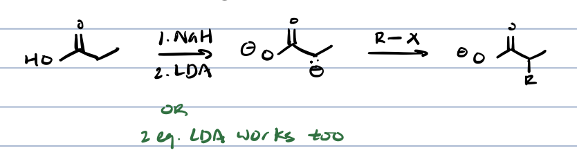 <p>requires 2 eq of strong base to remove both carboxyl hydrogen and ⍺ hydrogen</p>