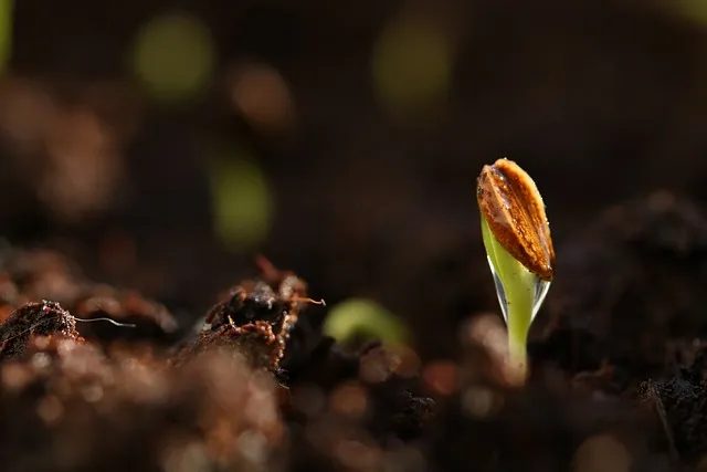 <p>grow</p><p><span style="line-height: 1.5rem;"><strong>ɡrəʊ/</strong></span></p>