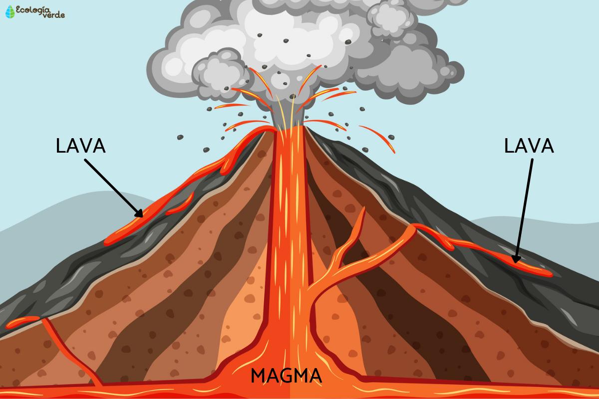 <p>Magma that reaches Earth's surface</p>
