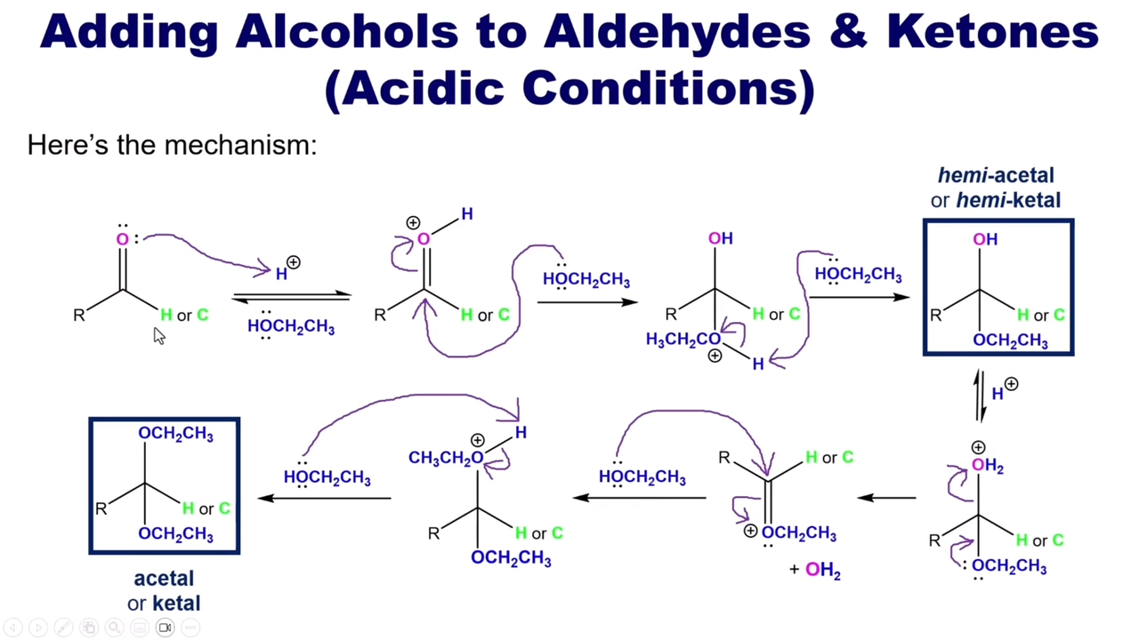 <ul><li><p>Acidified Alcohol (HOR)</p></li><li><p>Acid Source (H+)</p></li></ul><p></p><p>Full acetal group</p><p></p><p></p><p>Abundance of Solvent</p>
