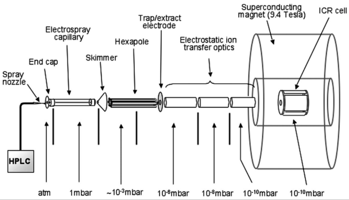 <p>FT-ICR Figure</p>