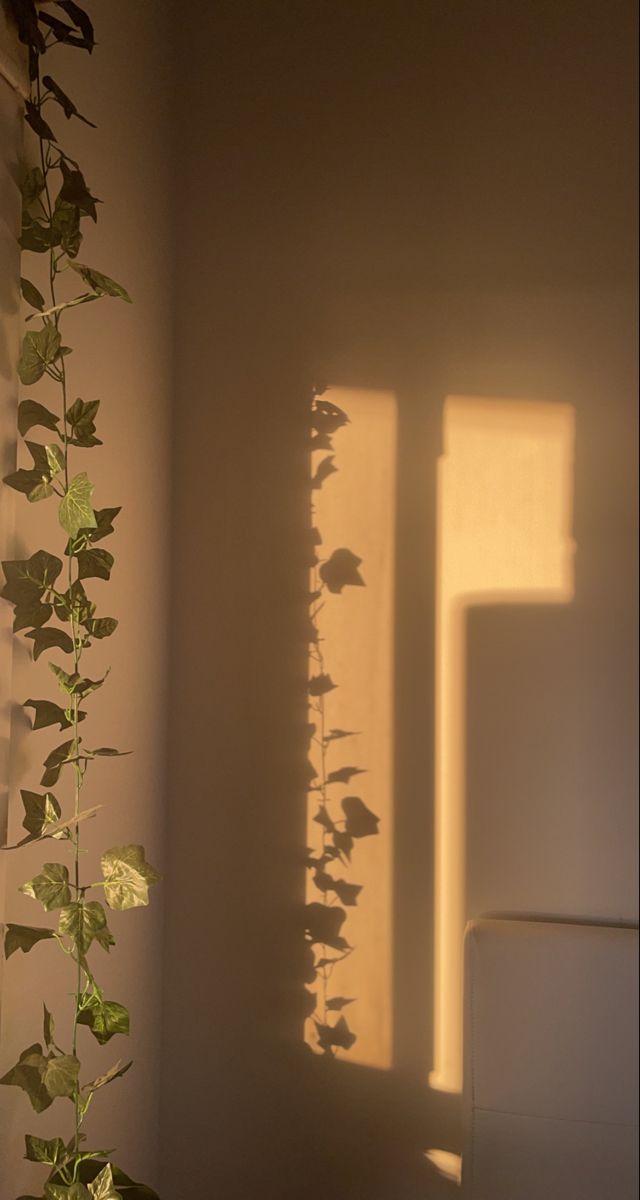 <p>Corner</p>
