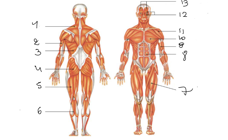 <p>Wat is nummer 2 </p>