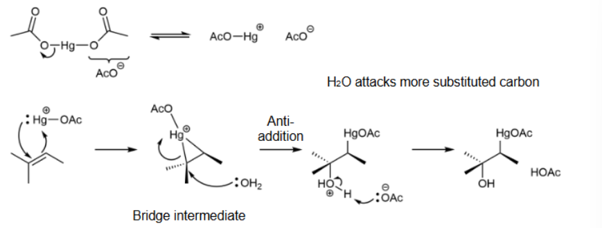 <p>bridged intermediate; H<sub>2</sub>O attacks carbon that is more substituted &amp; anti-addition</p>