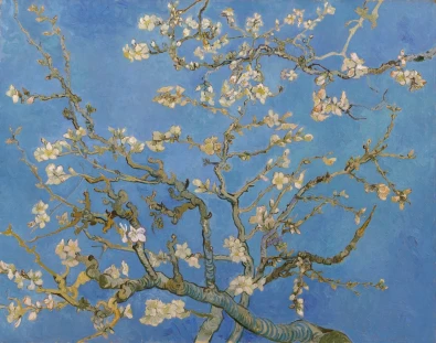 <p>Blossoming Almond Tree- 1890 </p>