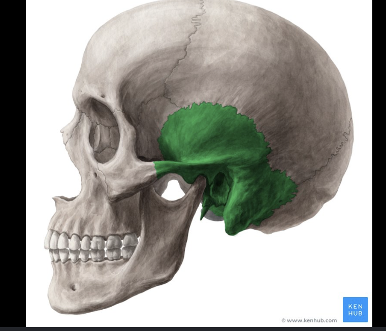 <p>green</p>
