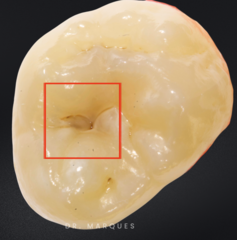 <p>What is the classification?</p>