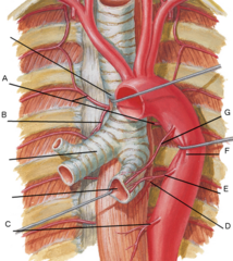 <p>G</p>