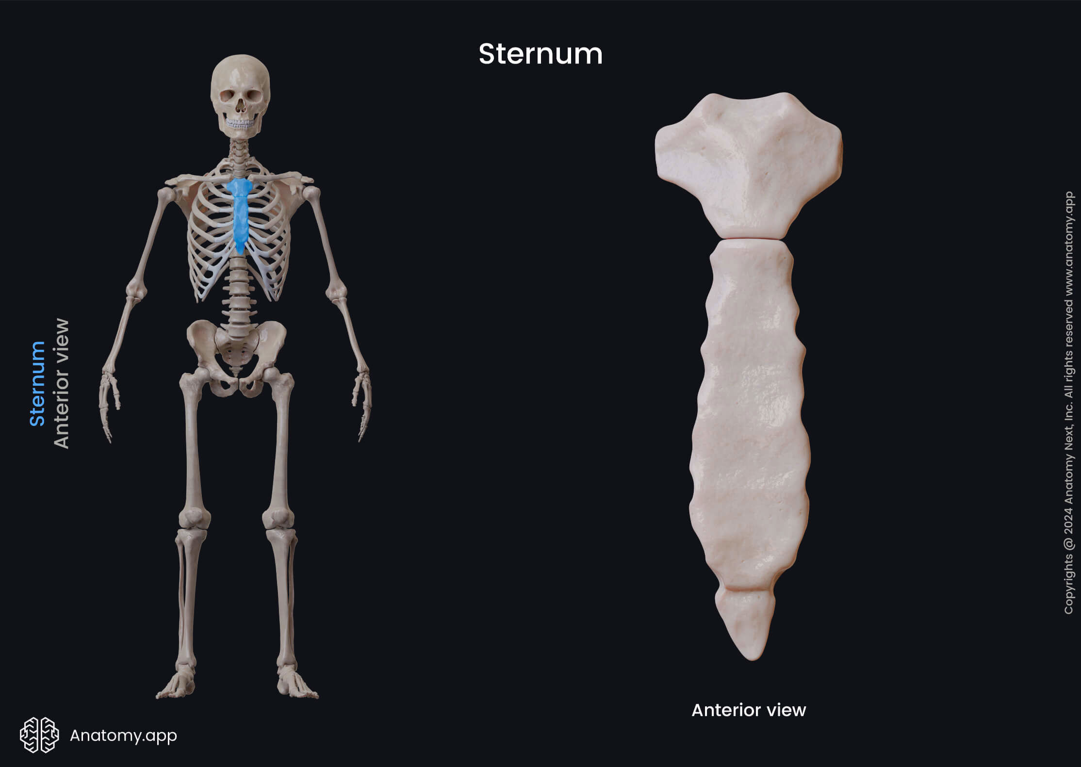 knowt flashcard image