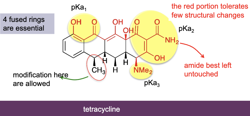 <ul><li><p>first one was Aureomycin isolated from Streptomyces aureofaciens during a systematic screening</p></li><li><p>Inhibit the attachment of aminoacyl-tRNA to 30s subunit of ribosome</p></li><li><p>Most prescribed class after penicillins</p></li><li><p>Very broad spectrum of action (G+, G-, mycoplasma…)</p></li><li><p>4 fused rings, can't remove/modify certain groups, some need a basic group due to PKA </p></li></ul><p></p>