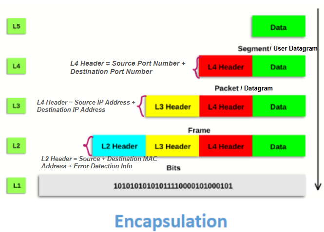 <p>Encapsulation describes the process of new information being added to a piece of data by each layer as you move down the layers</p><p>L5: Application Layer</p><ul><li><p>Does not add any new information, is simply the final version of the data, called the <strong>Message</strong>.</p></li></ul><p>L4: Transport Layer</p><ul><li><p>Adds the Source Port Number + Destination Port Number</p></li><li><p>Final Output is called: <strong>User Datagram/Segment</strong></p></li></ul><p>L3: Network Layer</p><ul><li><p>Adds the Source IP Address + Destination IP Address</p></li><li><p>Final Output is called: <strong>Datagram/Packet</strong></p></li></ul><p>L2: Data Link Layer</p><ul><li><p>Adds the Source MAC Address + Destination MAC Address</p></li><li><p>Final Output is called: <strong>Frame</strong></p></li></ul><p>L1: Physical Layer</p><ul><li><p>Adds nothing, but converts bits into signals</p></li></ul><p>The new pieces of information added by a layer are known as a header. For example, the L4 Header refers to the new pieces of information added by the Transport Layer: the Source Port Number + Destination Port Number.</p><p>The new pieces of information + the pieces of information added by the previous layer is what makes up the output of each layer.</p>