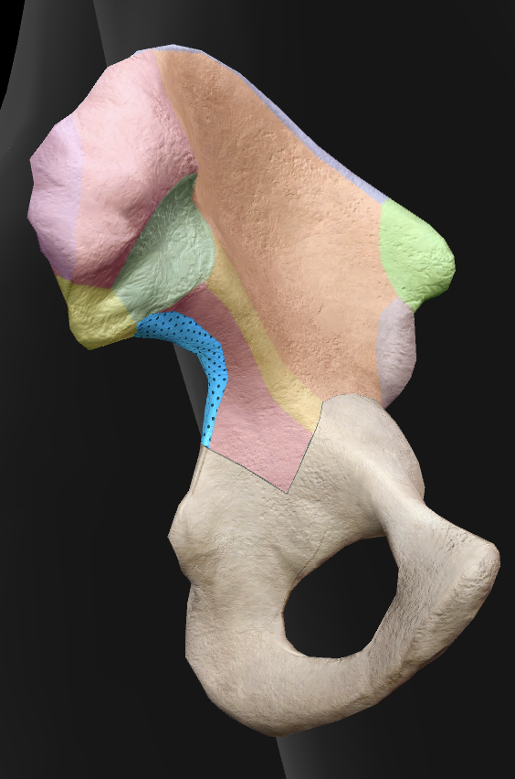 knowt flashcard image
