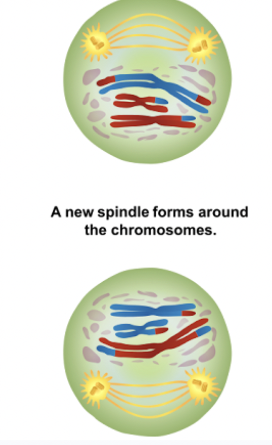 <p><span style="background-color: transparent;">What phase is this?</span></p>