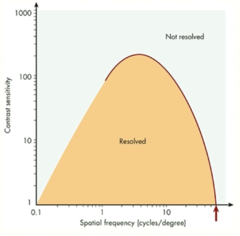 <p>The following graph shows a human contrast sensitivity function. What does it mean on the graph when it says "unresolved"?</p>