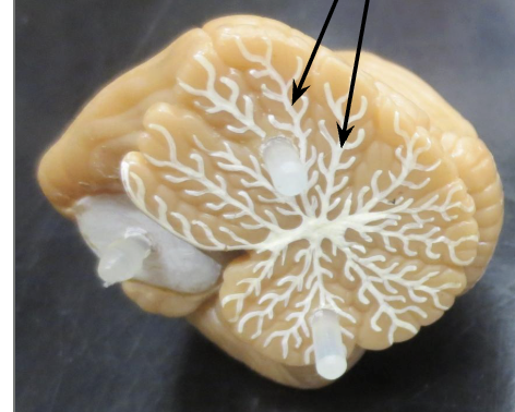 <p>What is this ?</p>