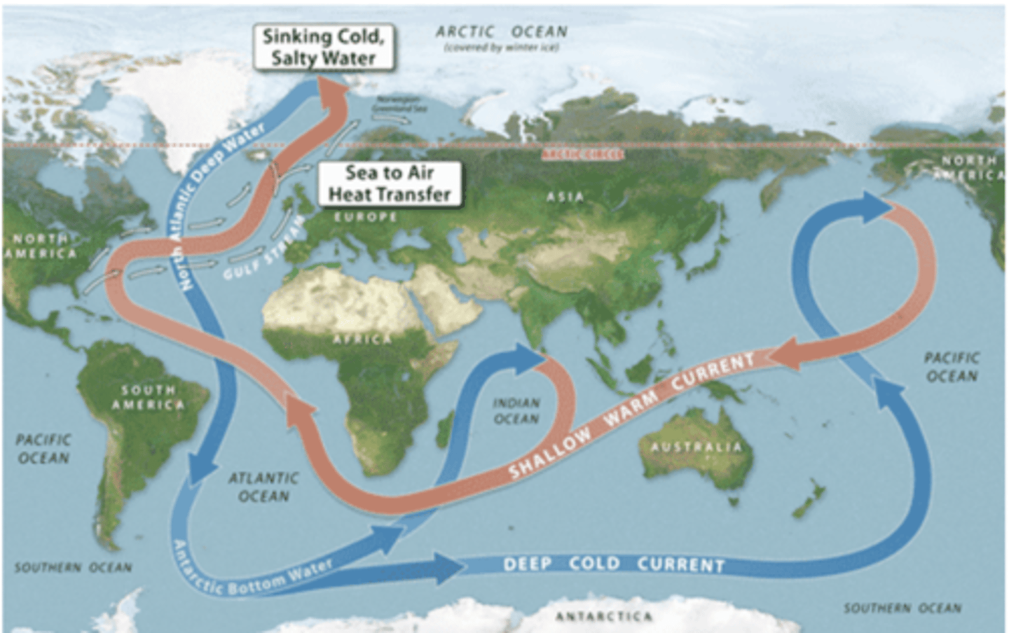 <p>- A global thermohaline circulation, driven by the formation and sinking of deep water.</p><p>- It's responsible for the large flow of upper ocean water, as well as the transfer of energy by wind, ocean currents, and deep-sea currents.</p><p>- The amount of heat given up is about 33% of the energy we receive from the sun.</p>