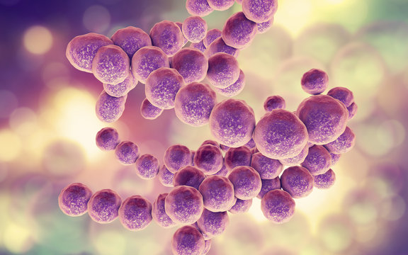 <p>[photo] prokaryotic shape </p>