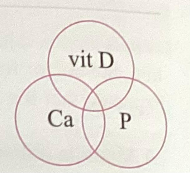 <p>What do the three nutrients have in common?</p>