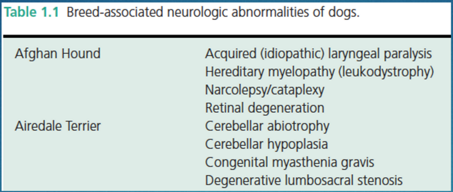 <p>1: consider…</p><ol><li><p>signalment: some dz’s are VERY breed or age specific (e.g. young → think CBM or hypomyelination)</p></li><li><p>onset: aucte → think toxin or encephalitis, chronic + non-progressive → think congenital </p></li><li><p>is it episodic or constant? </p></li><li><p>mm involved? frequency &amp; amplitude of tremor?</p></li><li><p>systemic signs (fever, etc.)?</p></li></ol><p>all ^ will help narrow ddx </p><p>.</p><p>2: intoxication &amp; steroid responsive tremor syndrome</p>