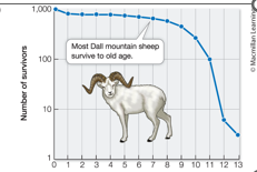 <p>A curve representing high survivorship at most ages, typically associated with parental care followed by senescence.</p>