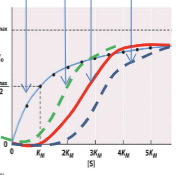 <p>Sigmoidal in shape (takes a bit to form the complex, before exponential growth). Able to be saturated. </p>
