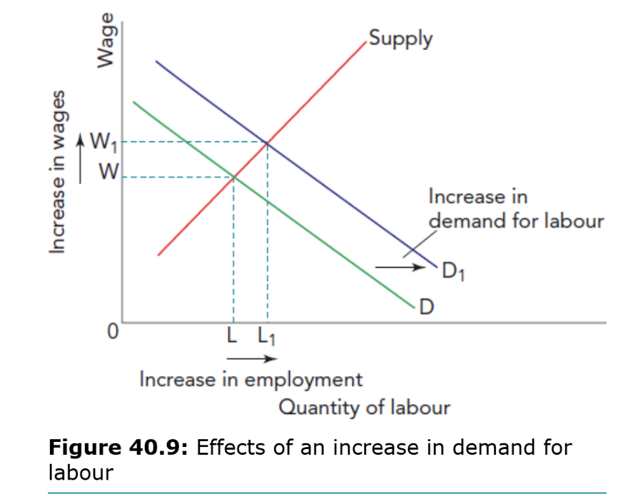 <p>A shift right in demand for labour raises the equilibrium wage (W to W1) and increases employment (L to L1).</p>