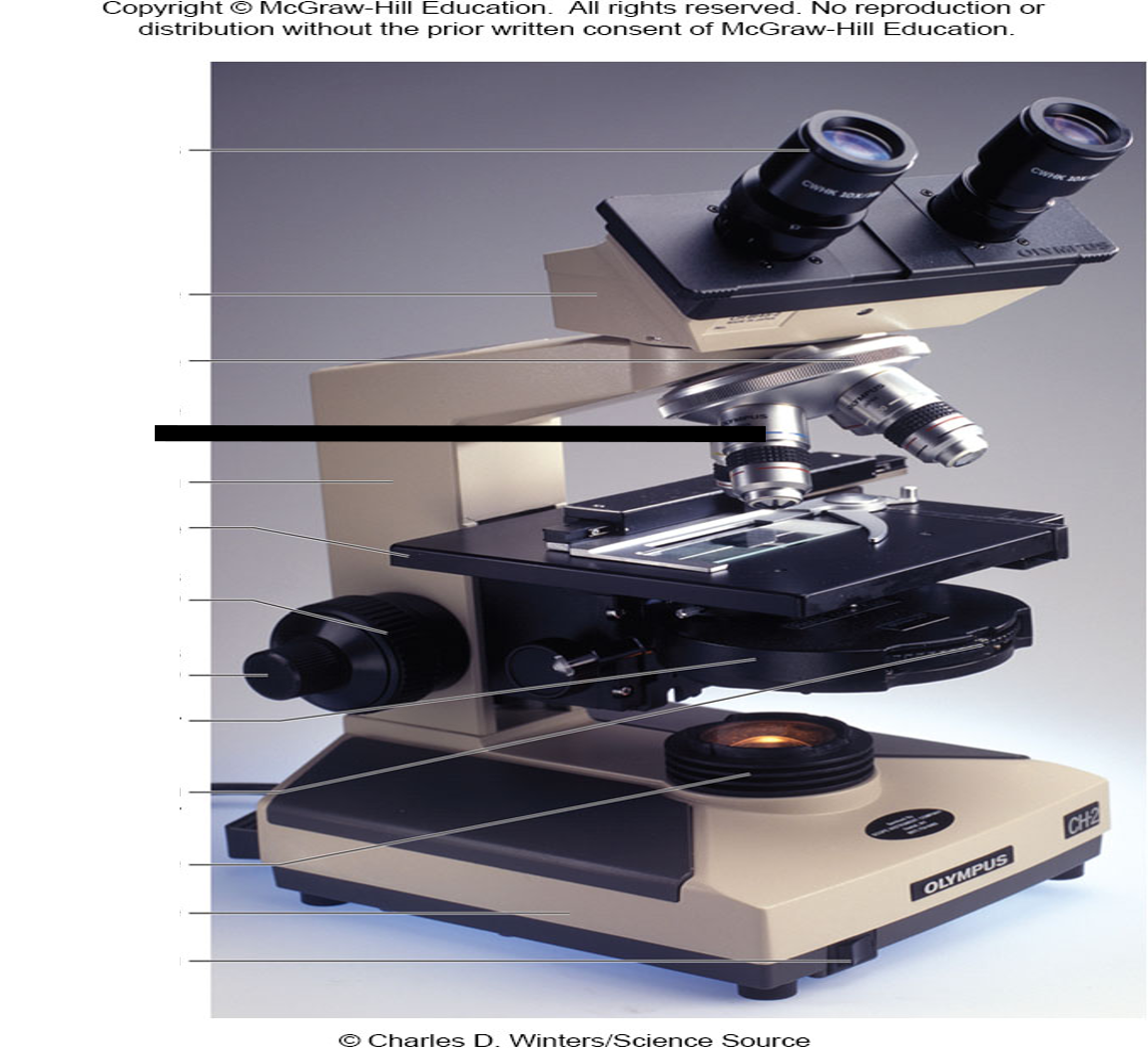 <p>What part of the microscope is the following?</p>