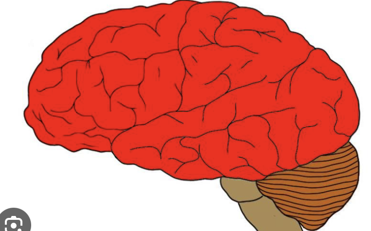 <p>red</p>