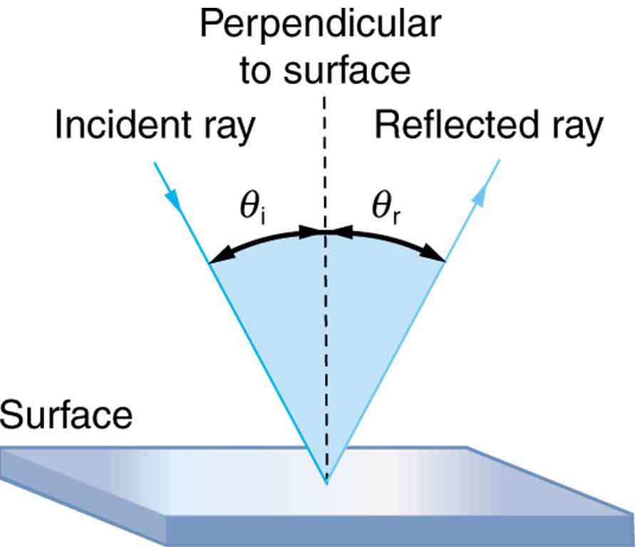<p>The laws of reflection state:</p><ul><li><p>The angle of incidence equals the angle reflection</p></li><li><p>The incident ray, reflected ray, and the normal lie in the same plane</p></li></ul><p></p>
