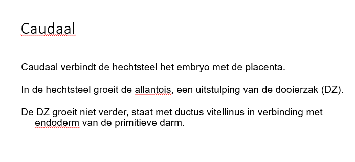 <p>fout:</p><p>de DZ groeit niet verder en staat met de ductus vitellinus in verbinding met endoderm van de primitieve darm</p>