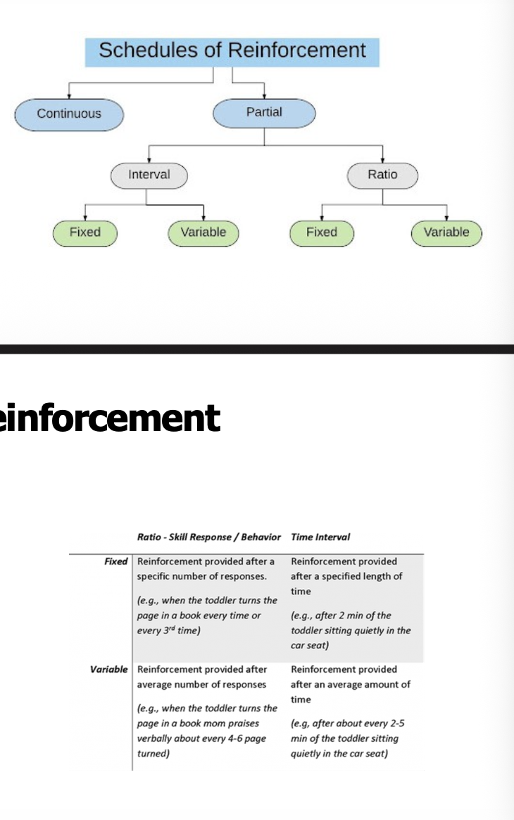 <ol><li><p>rule that determines which occurence of operant response gets reinforced </p></li><li><p>continous reinforcement- every correct response is reinforced</p></li><li><p>partial reinforcement- only some responses are reinforced</p></li><li><p>four main types: </p></li></ol><ul><li><p>fixed ratio- reinforcement occurs after a fixed number of responses </p></li><li><p>variable ratio- reinforcement occurs after an unpredictable amount of responses </p></li><li><p>fixed interval- reinforcement becomes available after a fixed amount of time </p></li><li><p>variable interval- reinforcement occurs after varying intervals of time </p></li></ul><p></p>