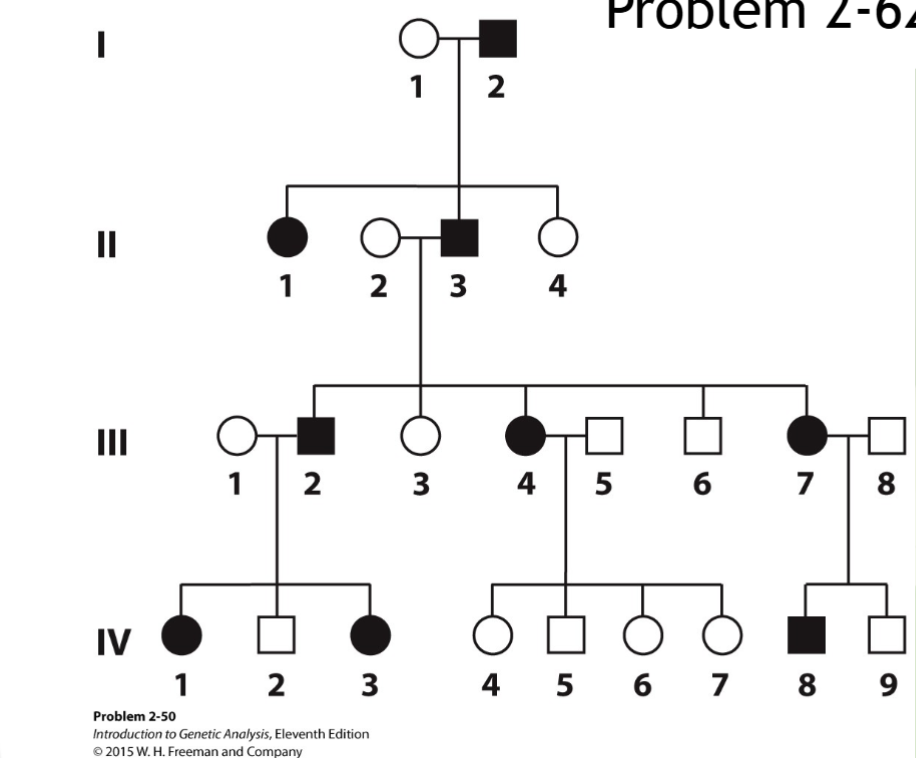 <p>What disorder is described by the image?</p>