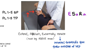 <p>E SaRa, stand opposite</p>