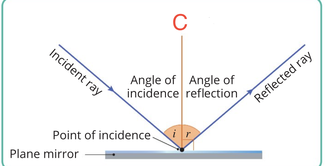 <p>What is C in this image?</p>