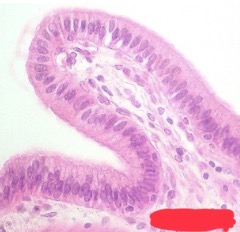 <p>?</p>