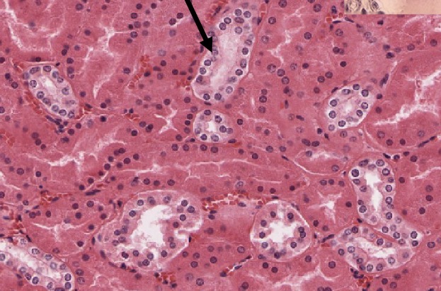 <p>What is this?</p>