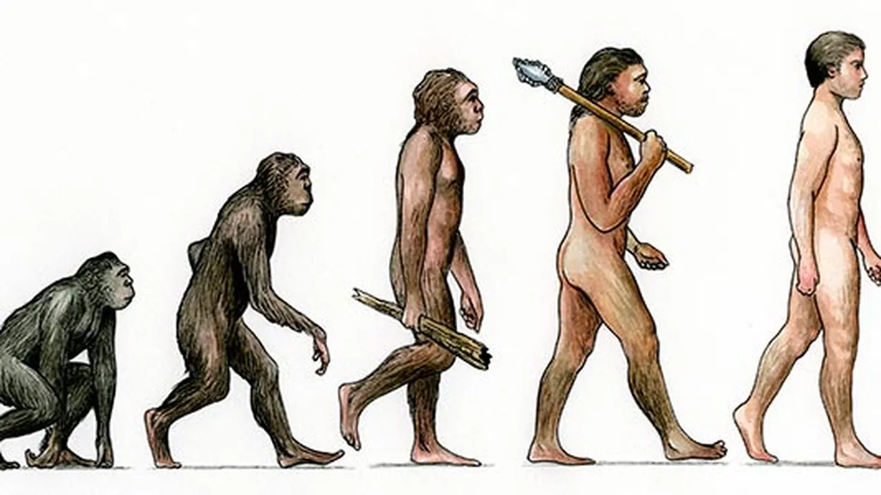 <p>A change in the allele frequencies of a population over time.</p>