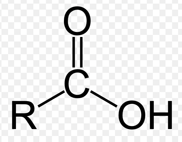 <p>polar, but can be charged if deprotonated. cooh</p>
