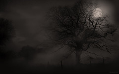 <p>Having very little or no light.</p>
