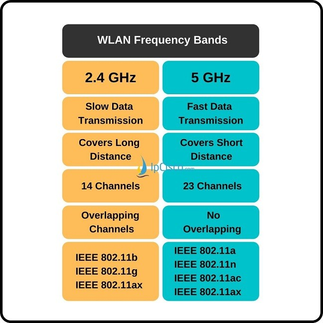 <p>A: 2.4 GHz (longer range, slower, more interference) and 5 GHz (shorter range, faster, less interference) </p>